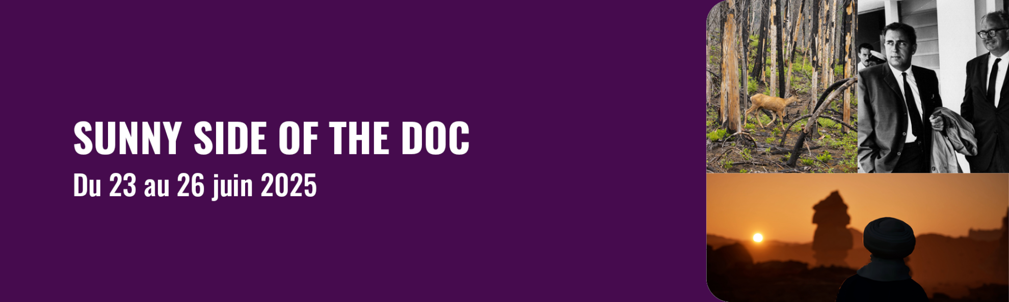 Bouton menant vers la page Sunny Side of the Doc 2025