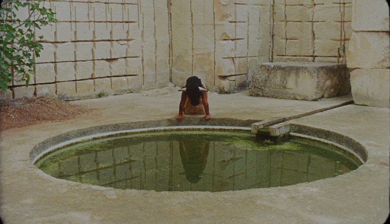 Photo du film Mare's Nest