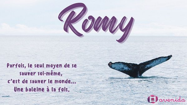 Photo de la fiction jeunesse Romy